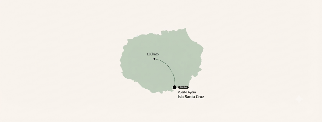 tour el chato