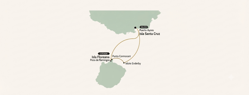 tour punta cormorant